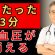 【たった3分】血圧を下げる即効ストレッチ｜自宅でできる簡単エクササイズ